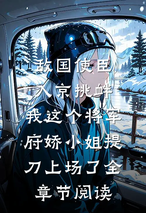 敌国使臣入京挑衅，我这个将军府娇小姐提刀上场了全章节阅读