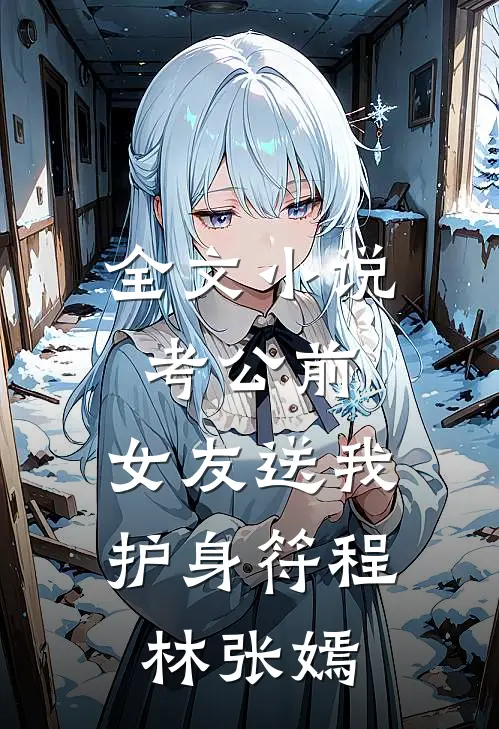 全文小说考公前，女友送我护身符程林张嫣