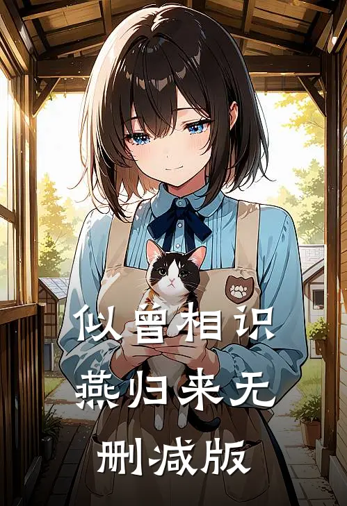 似曾相识燕归来无删减版