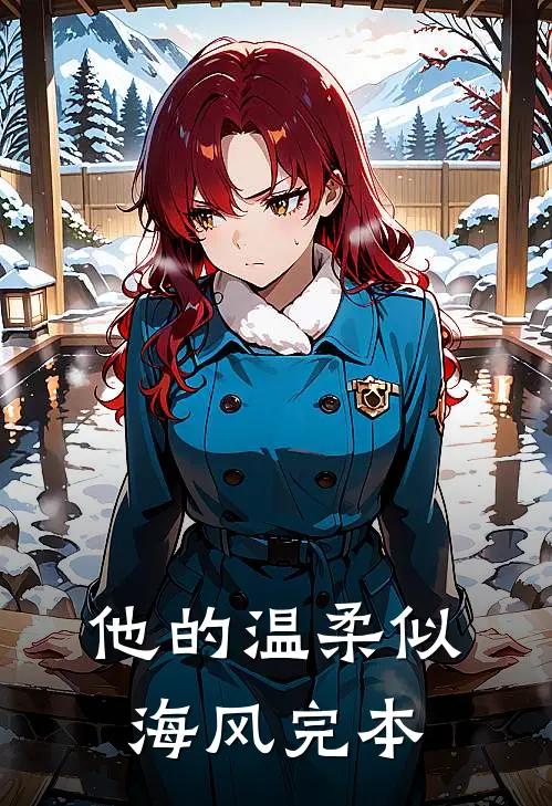 他的温柔似海风完本