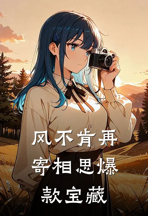 风不肯再寄相思爆款宝藏