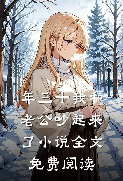 年三十我和老公吵起来了小说全文免费阅读