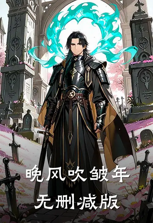 晚风吹皱年无删减版