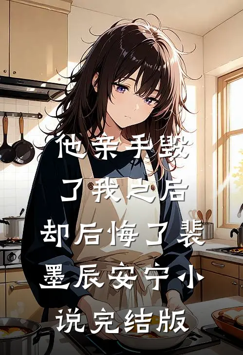他亲手毁了我之后，却后悔了裴墨辰安宁小说完结版