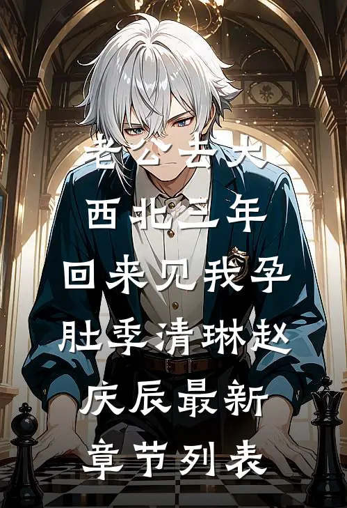 老公去大西北三年，回来见我孕肚季清琳赵庆辰最新章节列表