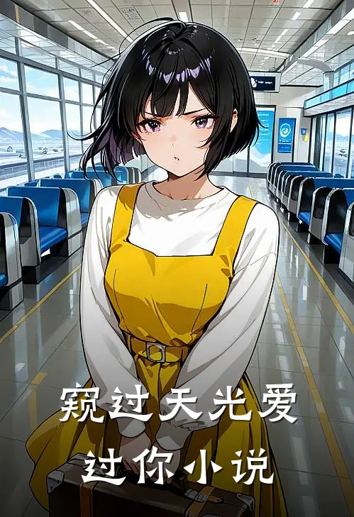 窥过天光爱过你小说