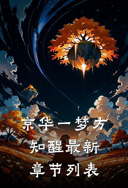 京华一梦方知醒最新章节列表