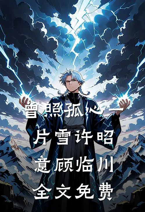 曾照孤心一片雪许昭意顾临川全文免费