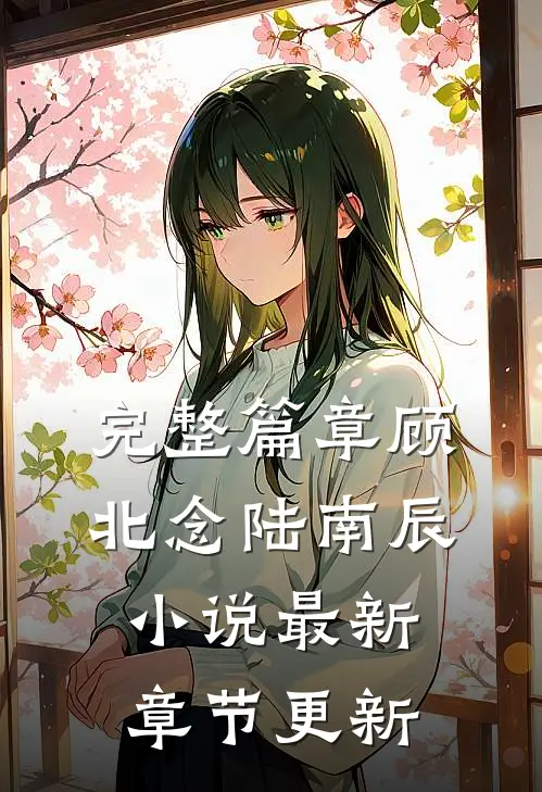 完整篇章顾北念陆南辰小说最新章节更新