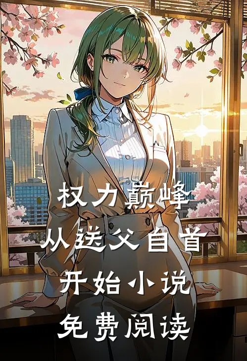 权力巅峰：从送父自首开始小说免费阅读