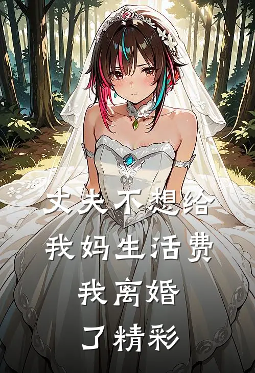 丈夫不想给我妈生活费，我离婚了精彩