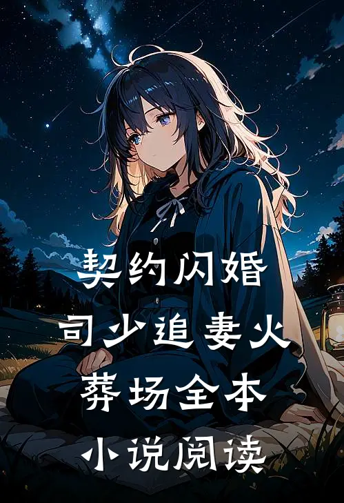 契约闪婚：司少追妻火葬场全本小说阅读