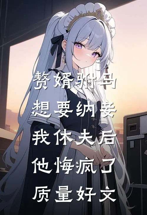 赘婿驸马想要纳妾，我休夫后他悔疯了质量好文