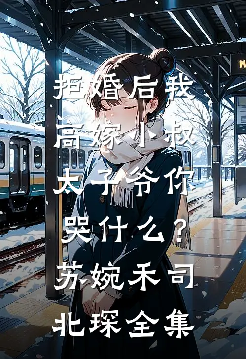 拒婚后我高嫁小叔，太子爷你哭什么？苏婉禾司北琛 全集