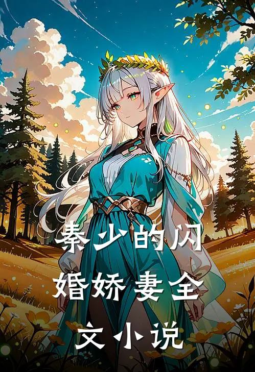 秦少的闪婚娇妻全文小说