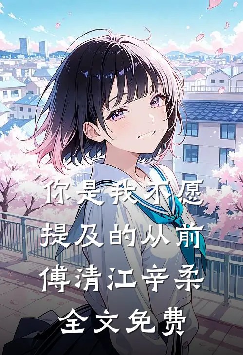 你是我不愿提及的从前傅清江辛柔全文免费