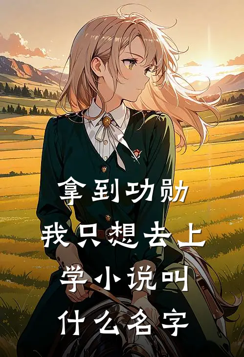 拿到功勋，我只想去上学小说叫什么名字