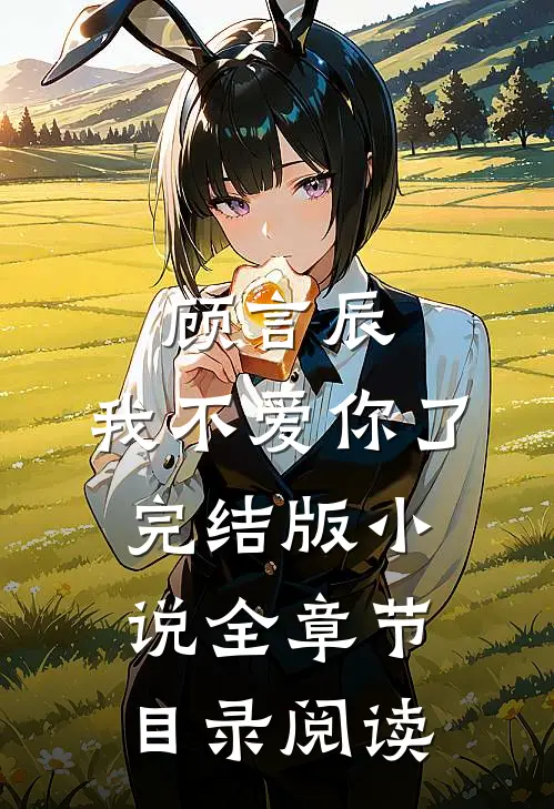 顾言辰，我不爱你了完结版小说全章节目录阅读