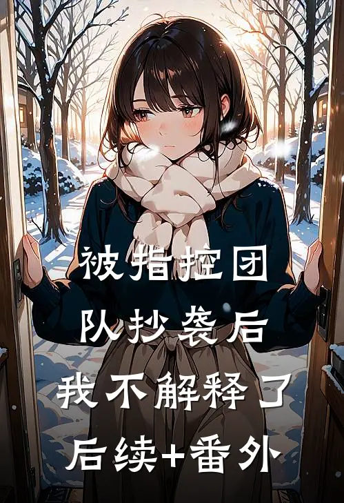 被指控团队抄袭后，我不解释了后续+番外
