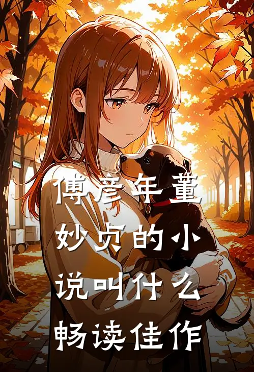 傅彦年董妙贞的小说叫什么畅读佳作
