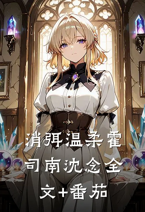 消弭温柔霍司南沈念全文+番茄