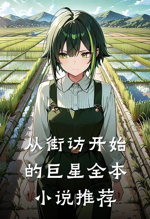 从街访开始的巨星全本小说推荐
