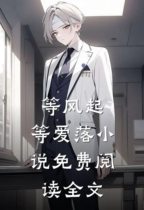 等风起，等爱落小说免费阅读全文