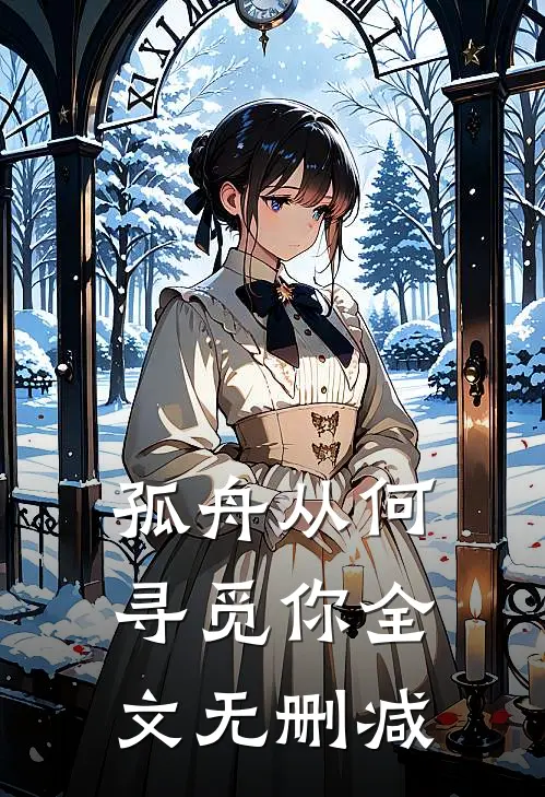 孤舟从何寻觅你全文无删减