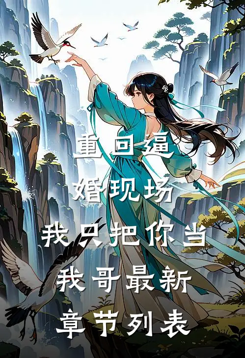 重回逼婚现场，我只把你当我哥最新章节列表