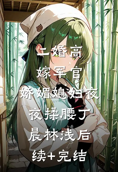 二婚高嫁军官，娇媚媳妇夜夜揉腰丁晨林浅后续+完结