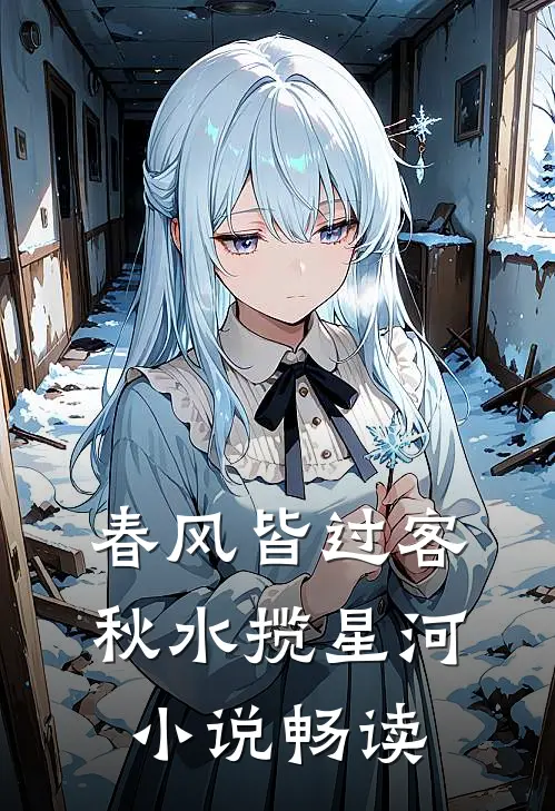 春风皆过客，秋水揽星河小说畅读