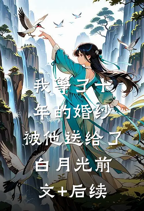 我等了十年的婚纱，被他送给了白月光前文+后续