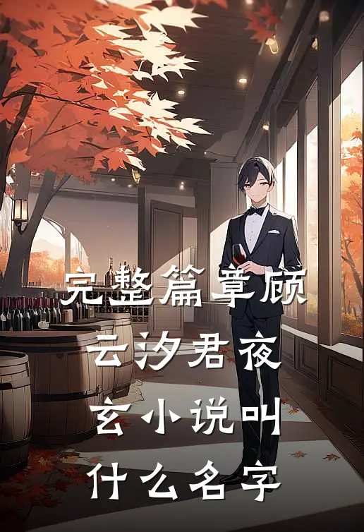 完整篇章顾云汐君夜玄小说叫什么名字