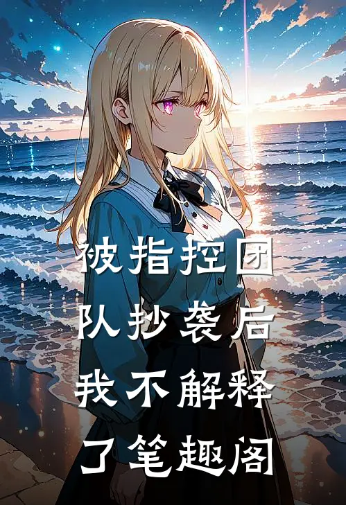 被指控团队抄袭后，我不解释了笔趣阁