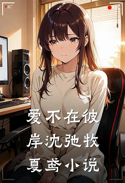 爱不在彼岸沈弛牧夏鸢小说