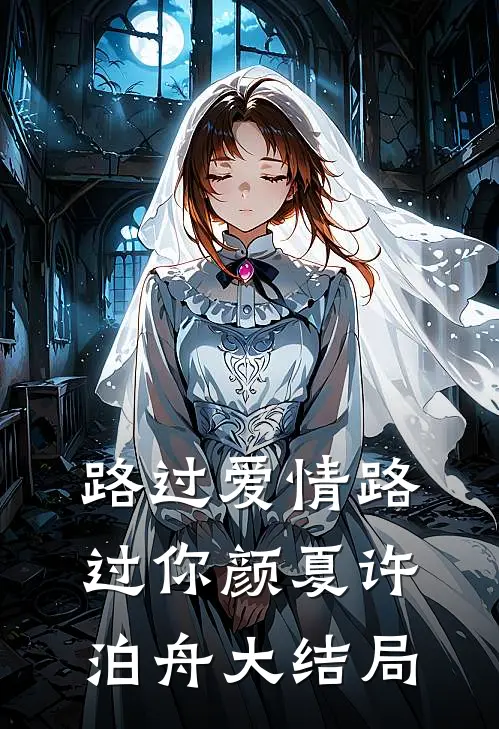 路过爱情路过你颜夏许泊舟大结局