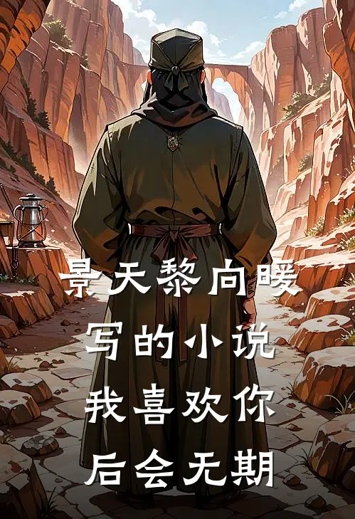 景天黎向暖写的小说我喜欢你，后会无期