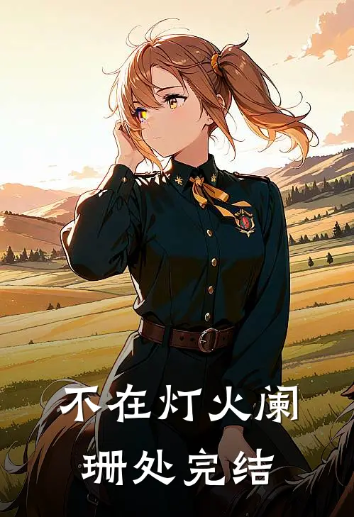 不在灯火阑珊处完结