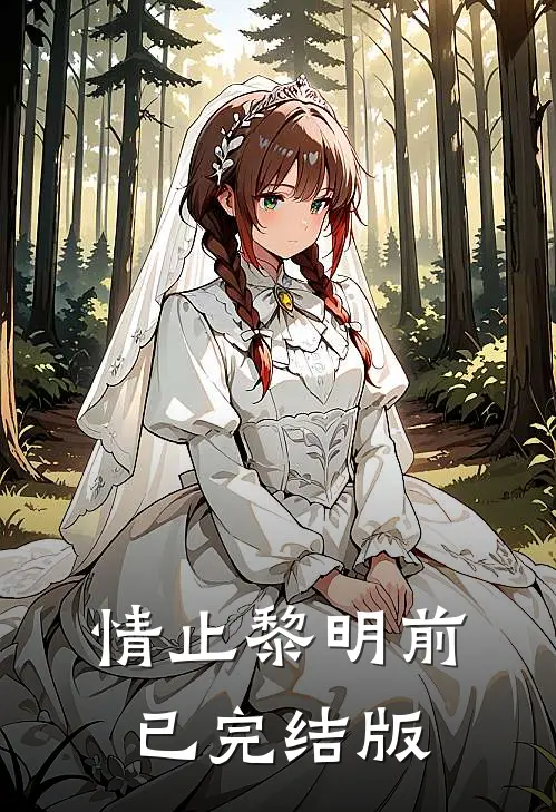 情止黎明前已完结版