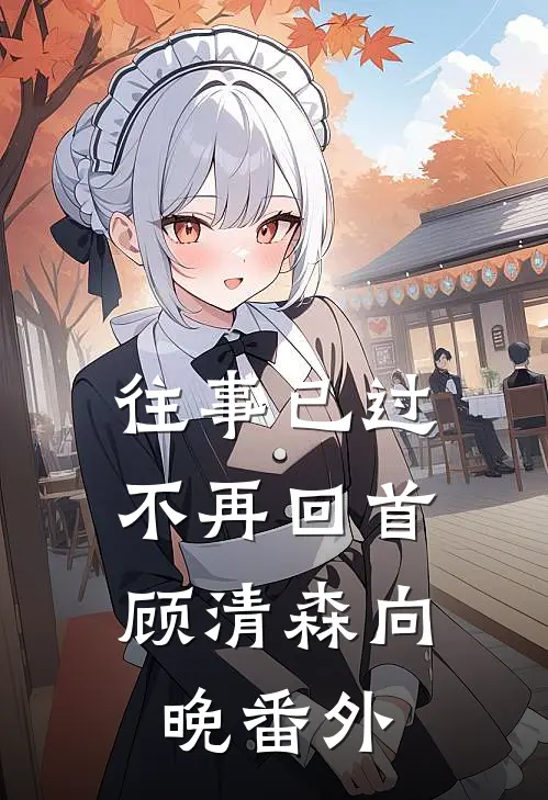 往事已过，不再回首顾清森向晚 番外