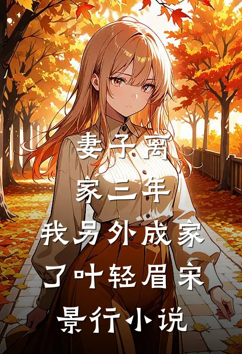 妻子离家三年，我另外成家了叶轻眉宋景行小说