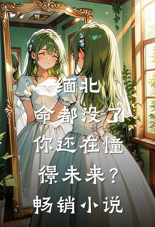 缅北：命都没了，你还在憧憬未来？畅销小说