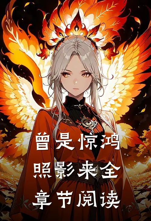 曾是惊鸿照影来全章节阅读