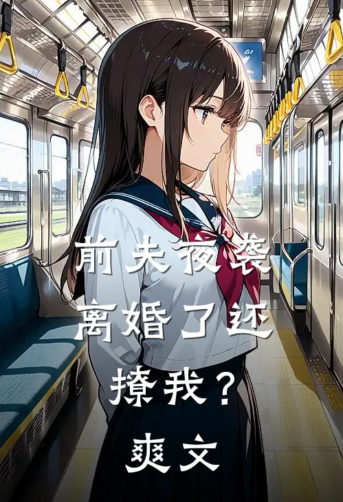 前夫夜袭离婚了还撩我?爽文